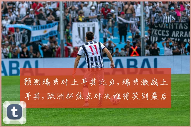 预测瑞典对土耳其比分,瑞典激战土耳其,欧洲杯焦点对决谁将笑到最后