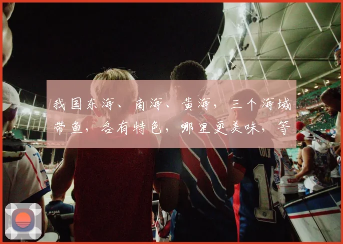 我国东海、南海、黄海，三个海域带鱼，各有特色，哪里更美味，等你来探索