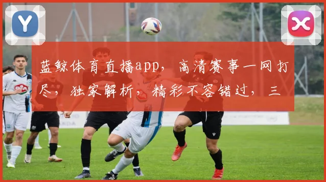 蓝鲸体育直播app，高清赛事一网打尽，独家解析，精彩不容错过，三大特色，必看神器
